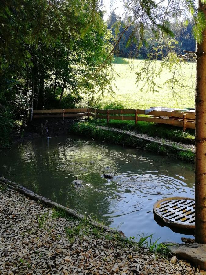 Ferienhaus Am Waldrand Von Egg Bregenzer Wald Екстер'єр фото