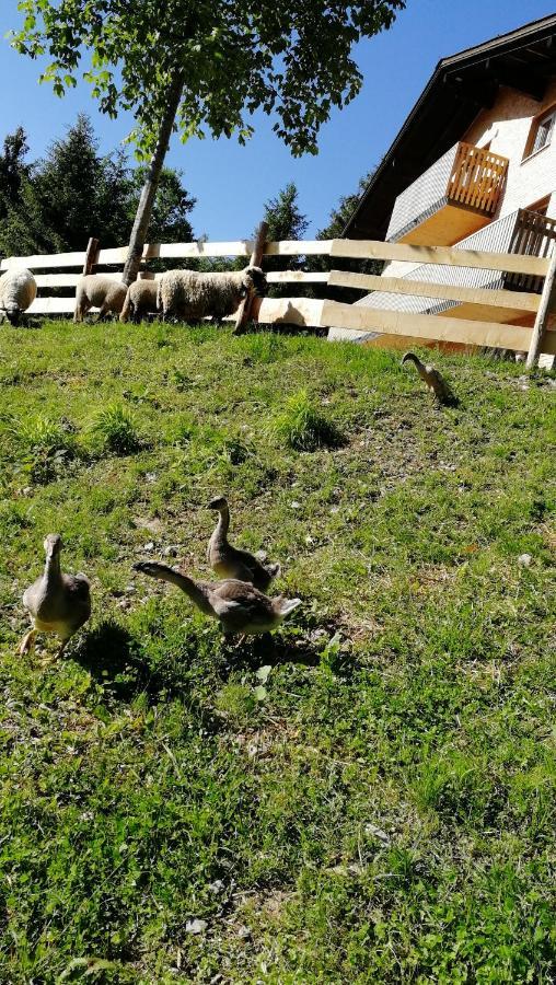 Ferienhaus Am Waldrand Von Egg Bregenzer Wald Екстер'єр фото