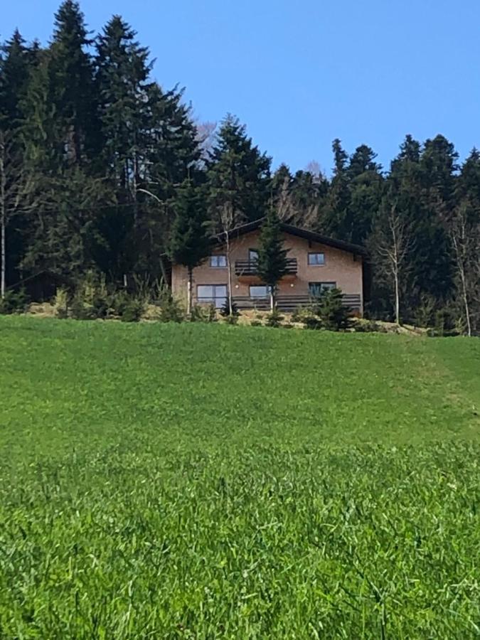 Ferienhaus Am Waldrand Von Egg Bregenzer Wald Екстер'єр фото