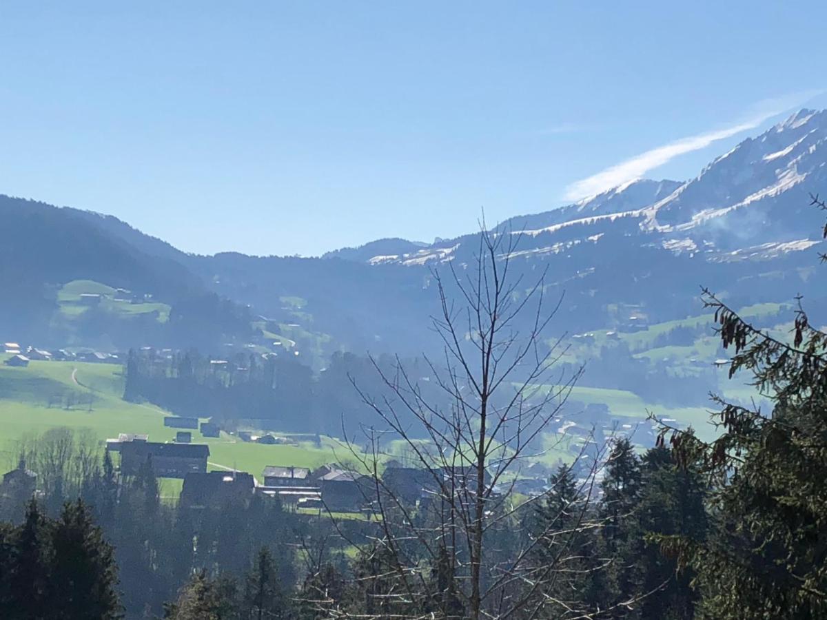 Ferienhaus Am Waldrand Von Egg Bregenzer Wald Екстер'єр фото